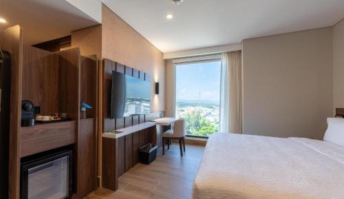 King Accessible Room 