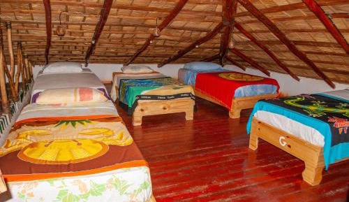 Bed in 6-Bed Mixed Dormitory Room
