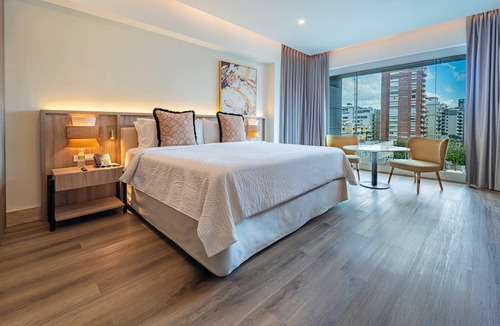 Yolanda Morales Hotel | Holiday Inn Santo Domingo by IHG