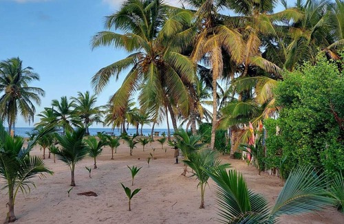 Higuey Cabin | Punta Cana Ecolodge