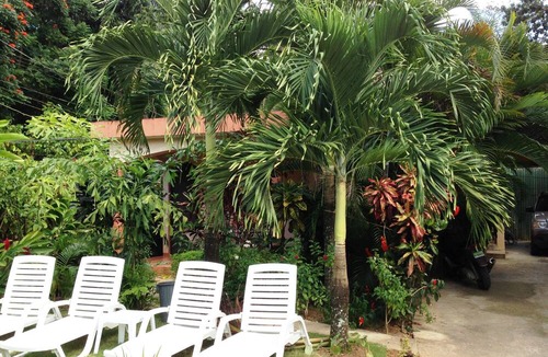 La Ceiba Apartment | Casa Lily & Coco