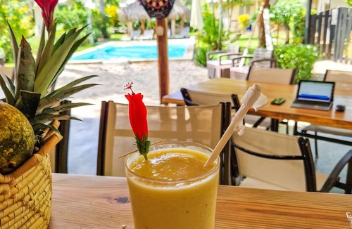 La Ceiba Hotel | Hotel Enjoy