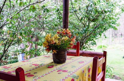 Constanza Cabin | Villa Pajon Eco Lodge