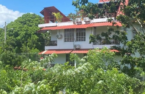 Samana Cabin | Tiny coco paradise rd