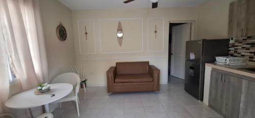 Reparto Ibarra Apartment | Yelena 2 Apartment