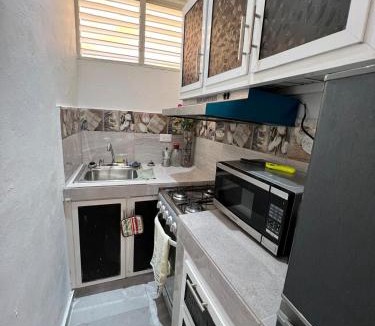 Samana Apartment | Apartamento la familia 2
