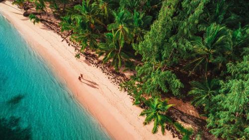 Bavaro Hotel | CARIBBEAN TROPICAL HOTEL Tropicana with POOL Los Corales WiFi Beach CLUB & SPA