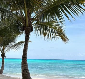 Dominicus Apartment | Tracadero Lodge 2BR Resort Experience Bayahibe