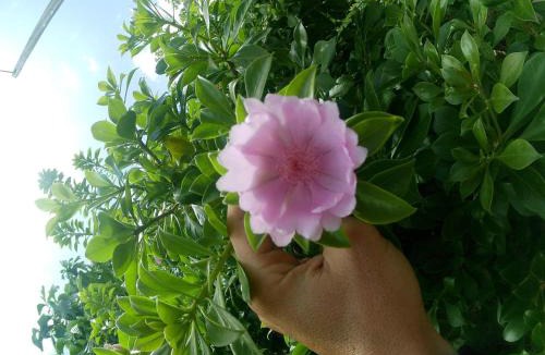 Los Melones Apartment | Vittoria House Garden