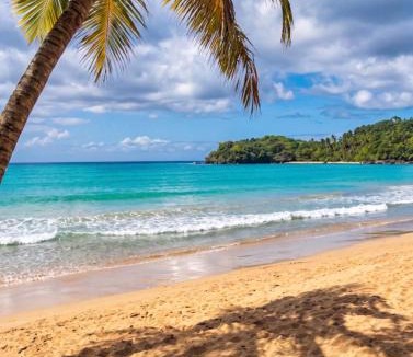 Las Terrenas Villa | Hotel Villas Mana 4 Villas Shared Pool 12 Room 51 Guest