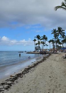 Punta Cana Apartment | Cap Cana Paradise Retreat, Pool Front