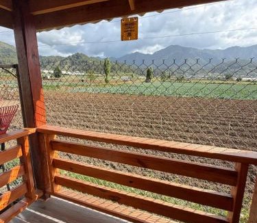 Constanza Villa | Villa Pincho