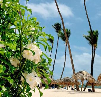 Bavaro Hotel | Hotel Garden Flora Punta Cana Beach