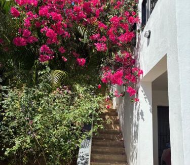 Samana Apartment | Villa Aurora Samaná