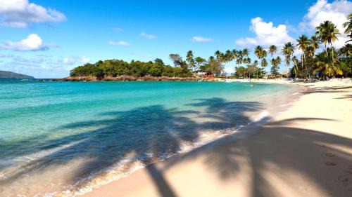 Puerto Bahia Hotel | Quisqueya