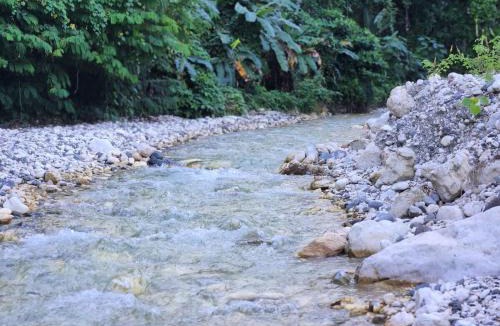 Paraiso Apartment | 2 Bdrm, 1 Bath, Wifi, Near River and Beach, 4R