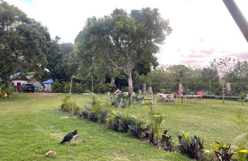 Las Galeras Cabin | Dreamvilles Ecovillage Bed and Breakfast near Playa Aserradero