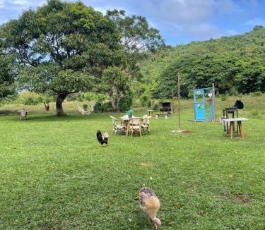 Las Galeras Cabin | Dreamvilles Ecovillage Bed and Breakfast near Playa Aserradero