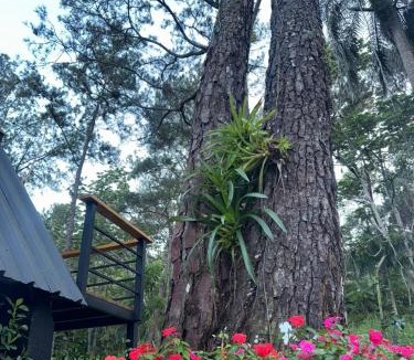La Vega Province Ski Chalet | Alpina Village, Jacuzzi Climatizado, Montaña, Fogata, Jarabacoa