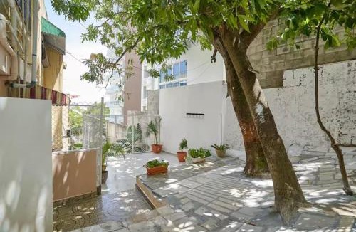 Ciudad Universitaria Bed & Breakfast | Remodeled 3 Bedroom Apartment in Esperilla
