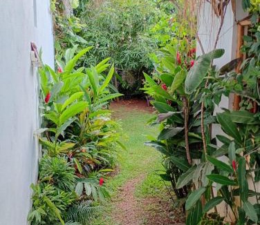 Las Galeras Apartment | Quédate Aquí