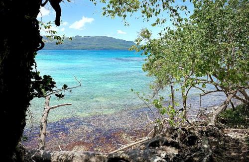 Las Galeras Hotel | Oasis en la naturaleza Rancho alto bonito