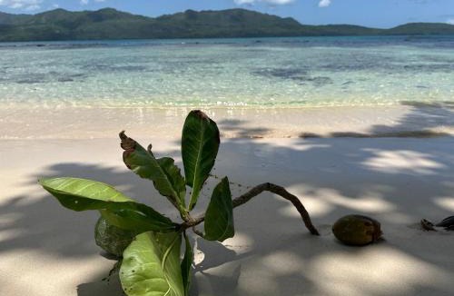 Las Galeras Hotel | Oasis en la naturaleza Rancho alto bonito