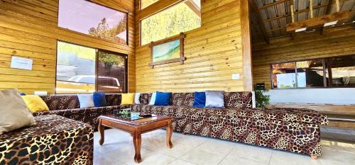 Paso Bajito Ski Chalet | Villa Leon