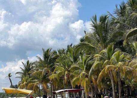 Boca Chica Hotel | Hannabi Beach Hotel