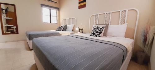 Gascue Hotel | Hotel Plaza Kavia