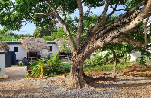 Las Galeras Hotel | BUNGALOWS COLIBRI
