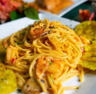 Las Galeras Bed & Breakfast | CHALET TROPICAL Hotel & Pool Bar Restaurant