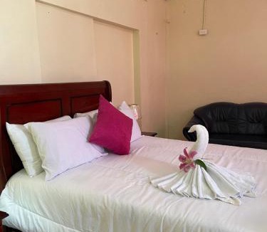 Zona Colonial Apartment | VBermor Hotel