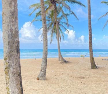 Punta Cana Apartment | Uvero Tropical Beach Rental #3