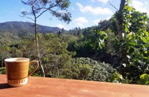 Constanza House | La Colmena del Arroyazo