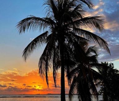 El Soco Apartment | Beach front and golf paradise. Playa Nueva Romana
