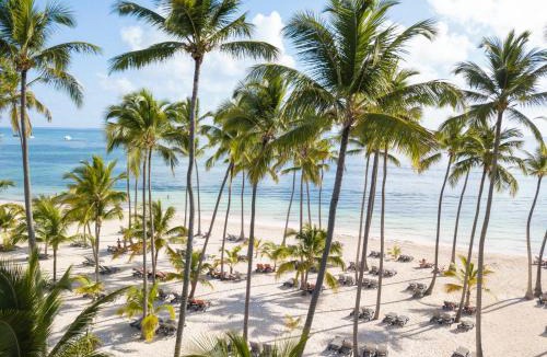 Playa Bibijagua Resort | Barceló Bávaro Beach - Adults Only All Inclusive