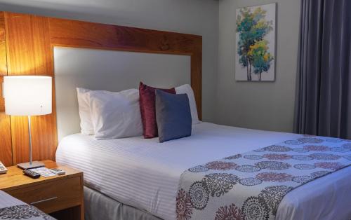 Downtown Santo Domingo Hotel | Hotel Aladino