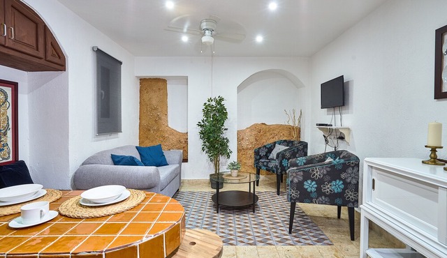 Splendid two bedrooms Colonial loft with Roof Top Terrace in Santo Domingo