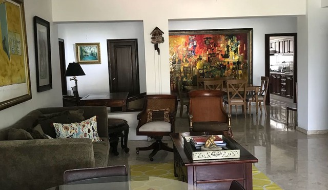 Entire & Exclusive Comfortable Prime Location Art apartment. An Oasis in The City in Santo Domingo