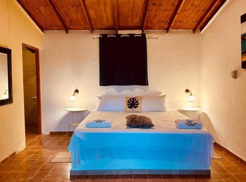 Villas Del Lago Resort King Room in Janico