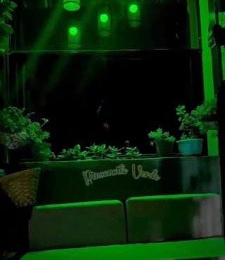Rinconcito verde