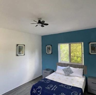 Pet Friendly Xamanai in Las Galeras