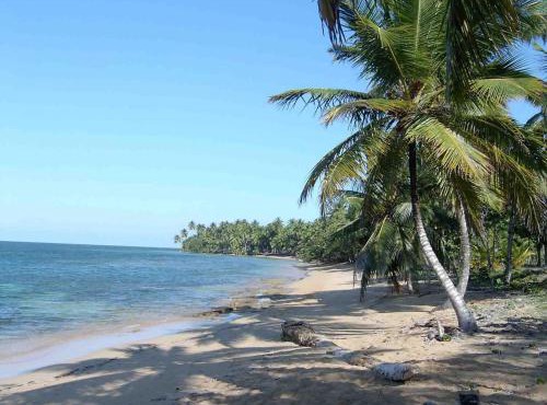 Caribbean Domicil Apartment 01